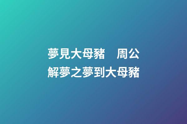 夢見大母豬　周公解夢之夢到大母豬